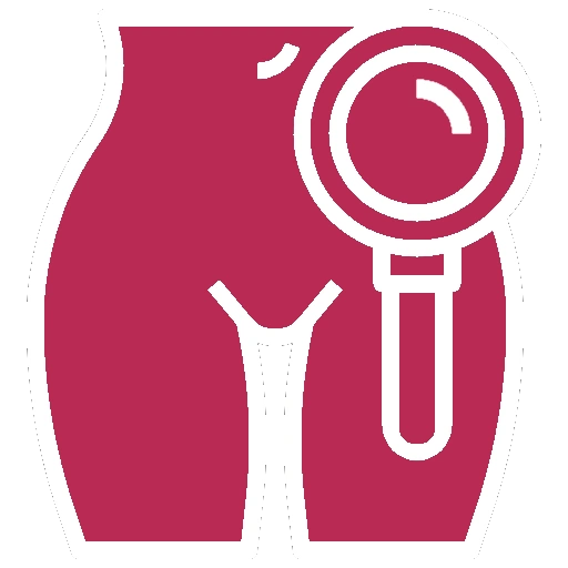 Ícone de Útero
